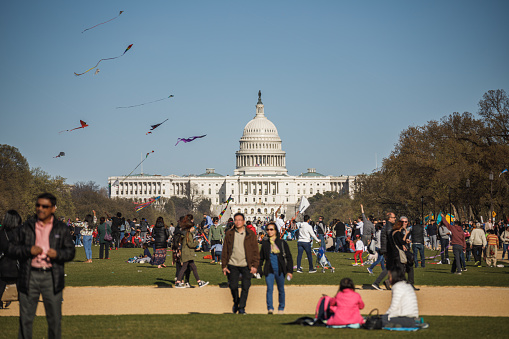 Washington, DC/USA - March 31, 2018: Diverse crowds gather in front of the US Capitol building on the National Mall in Washington, DC for the annual Blossom Kite Festival, one of the events of the National Cherry Blossom Festival, a celebration of Japan's gift of cherry trees to the US beginning in 1912.