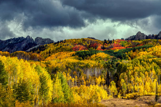 Photo of Autumn Aspen Color