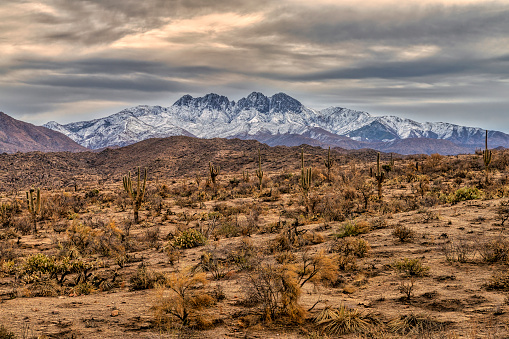Winter view of the Bush Fire burn scar and Four Peaks Wilderness in the Tonto National Forest approximately 45 miles north-northeast of Phoenix, Arizona.