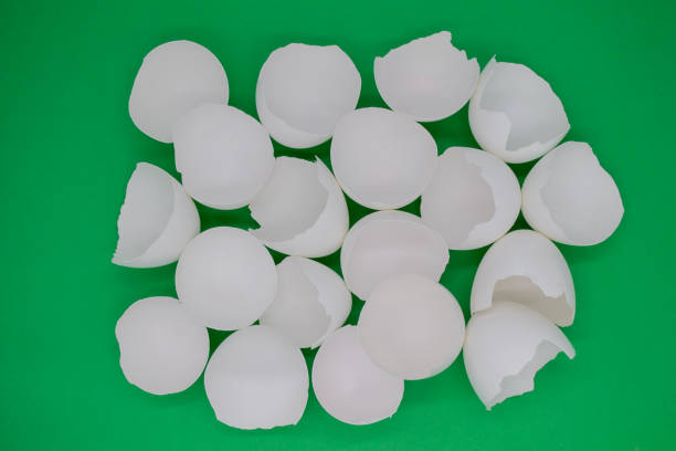 istock Top view of many broken white eggshells on a green background 1300177752