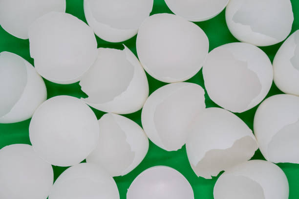 istock Close up of lots of broken white eggshells on a green background 1300177755
