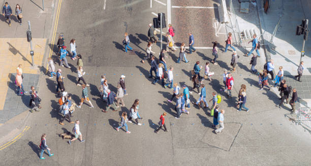 istock Pedestrian crossing in sunny weather 1300178092