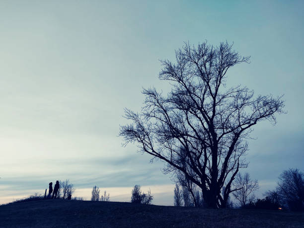 A blue and pink sunset, with the silhouette of a bare tree against the sky light with a romantic couple on the hill.
