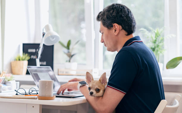 istock The young man with dog c typing on laptop 1300184904