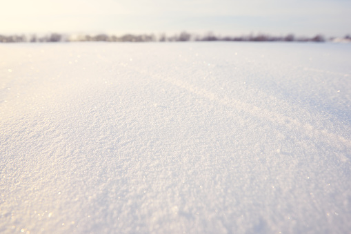 Horizontal shot of texture of white snow sparkling in the sun. The forest background in blur.