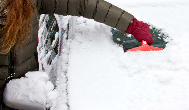 istock Cleaning car after snow storm 1300186200