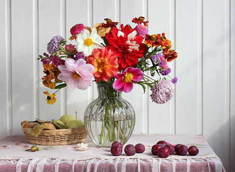 autumn still life with a bouquet and fruit. garden flowers in a glass vase. dahlias and asters, apples and plums.