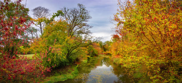 istock Hiking through dense woods as jungle with many different plants growing around Elbe river small creek in Autumn colors, panorama, Magdeburg, Germany. 1300187500