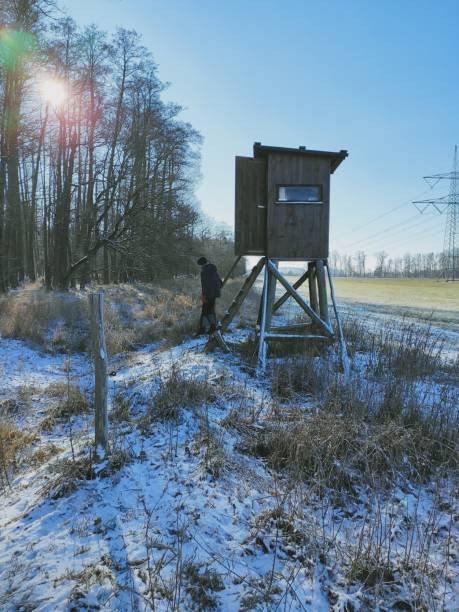 zimowy krajobraz - hunting blind zdjęcia i obrazy z banku zdjęć