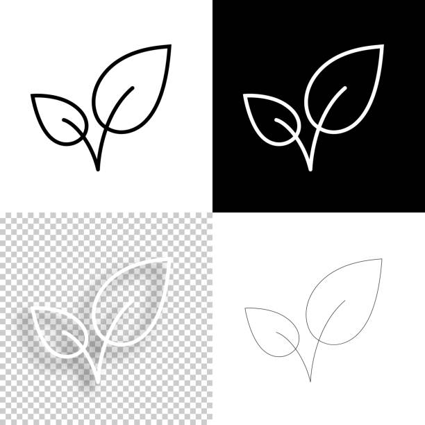 ilustrações de stock, clip art, desenhos animados e ícones de leaves. icon for design. blank, white and black backgrounds - line icon - leaf black background line art nature