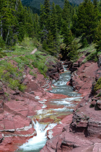 istock Water flowing through rocky stream 1300192222