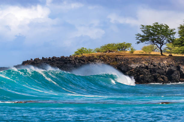 Wave on Hawaiian coast; trees on rocky shore. Clouds in background. stock photo