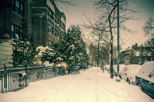 scena zimowa z ośnieżonymi samochodami zaparkowanych wzdłuż ulic w brooklynie w nowym jorku. brownstones w sezonie zimowym - street snow urban scene residential district zdjęcia i obrazy z banku zdjęć
