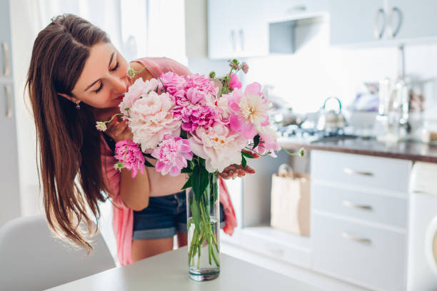 walentynki. kobieta pachnący bukiet piwonii w domu. gospodyni otrzymała prezent na wakacje. - flower gift decoration domestic room zdjęcia i obrazy z banku zdjęć