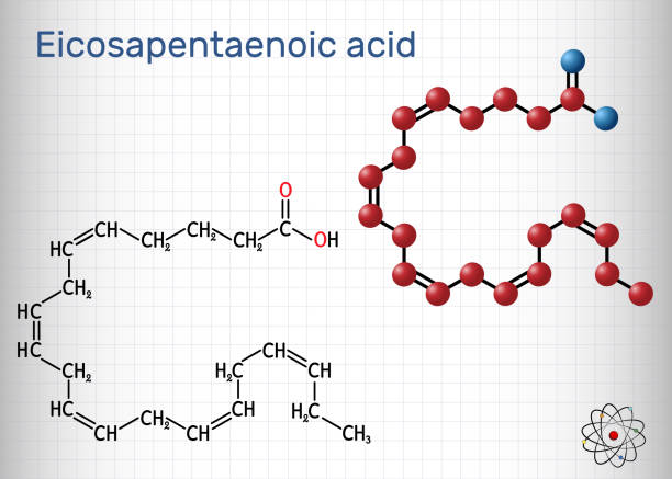 Eicosapentaenoic acid, EPA, icosapentaenoic acid, icosapent molecule. It is an omega-3 polyunsaturated long-chain fatty acid. Sheet of paper in a cage Eicosapentaenoic acid, EPA, icosapentaenoic acid, icosapent molecule. It is an omega-3 polyunsaturated long-chain fatty acid. Sheet of paper in a cage. Vector illustration eicosapentaenoic acid stock illustrations