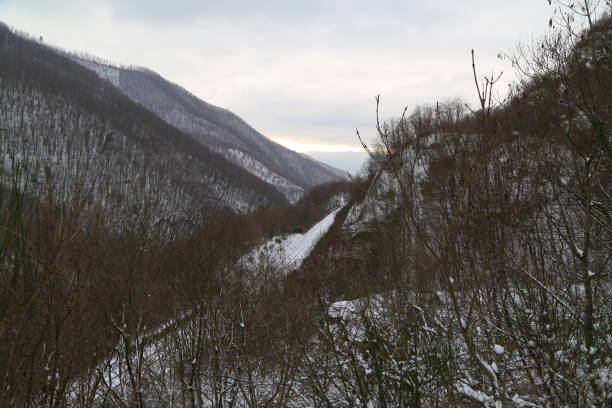 istock Abandoned railway station in winter time 1300195865