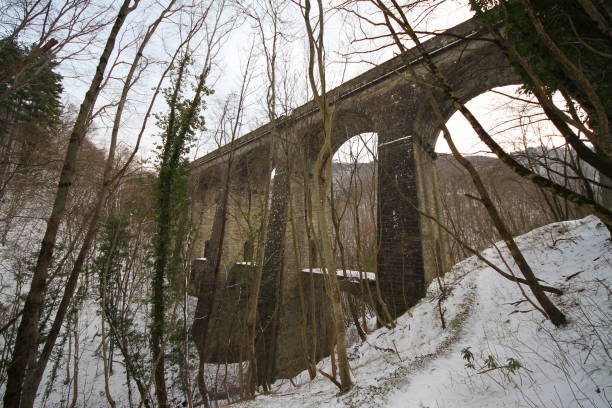 istock Abandoned railway station in winter time 1300196882