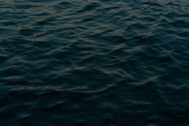 istock Rippled surface of the ocean in low light 1300201382