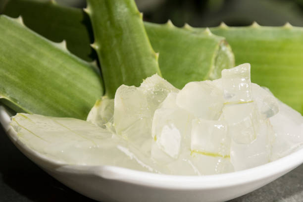 istock Aloe vera leaves and crystals. 1300201661