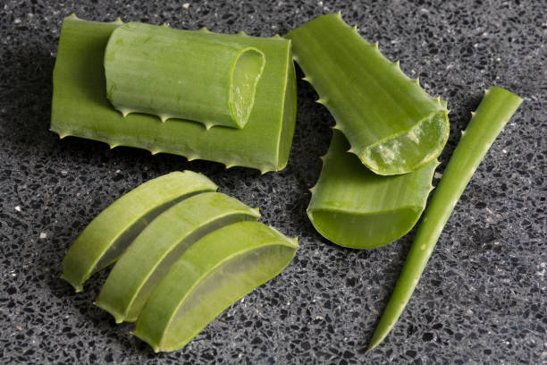 istock Aloe vera leaves and crystals. 1300201947