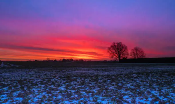 Red blue and purple winter sunrise in the Lincolnshire Fens with light snow in the foreground and silhouetted trees