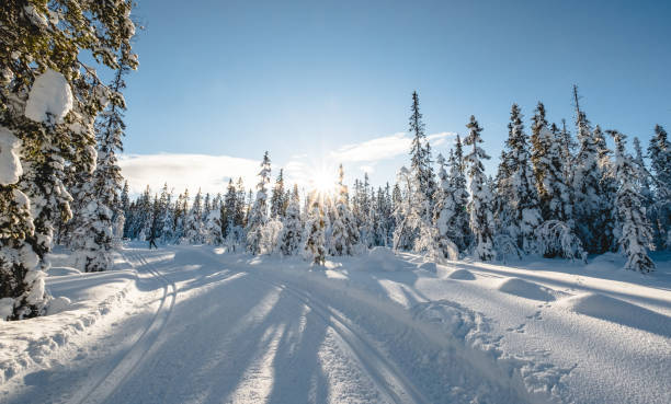 istock Cross-country slope in Norway 1300204183