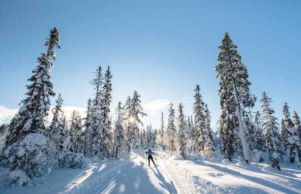 Woman cross-county skiing in Norway