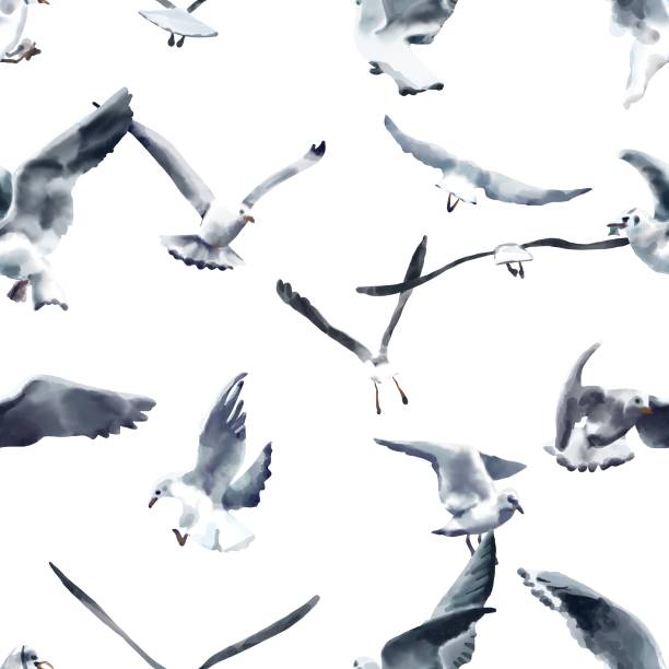 istock A flock of seagulls flying in the sky 1300205796