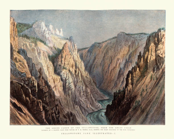 grand canyon of the yellowstone, from the great falls, 19. jahrhundert - grand canyon stock-grafiken, -clipart, -cartoons und -symbole