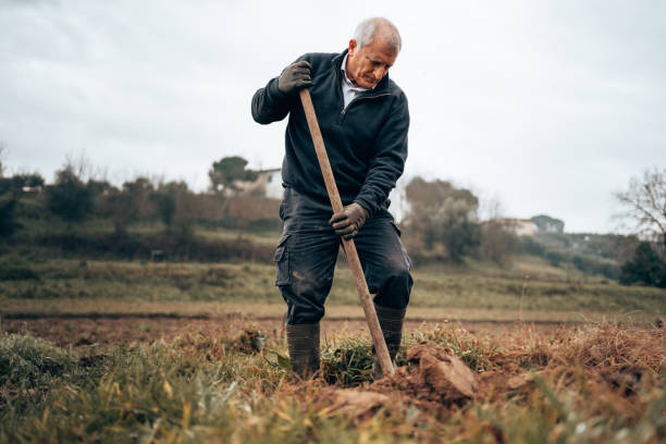 agricultor cavando el suelo - cavan fotografías e imágenes de stock