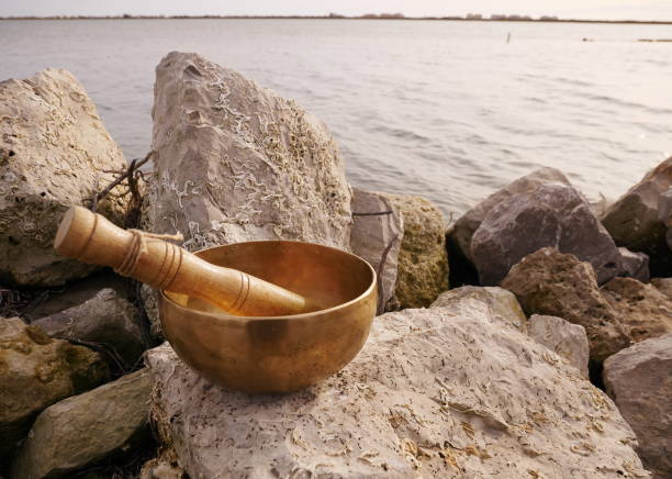 istock Singing bowl placed on large pebbles with the pond in background 1300208457