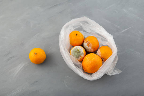 Rotten spoiled tangerines or oranges in plastic bag on grey background, top view. Ugly moldy fruit. Improper food storage. Concept - reduction of organic waste