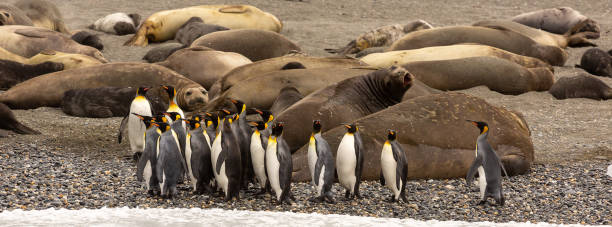 istock Do you think she's seen us? 1300211726