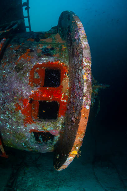 istock Sunken underwater shipwreck with coral and seafans growing on the structure 1300216827