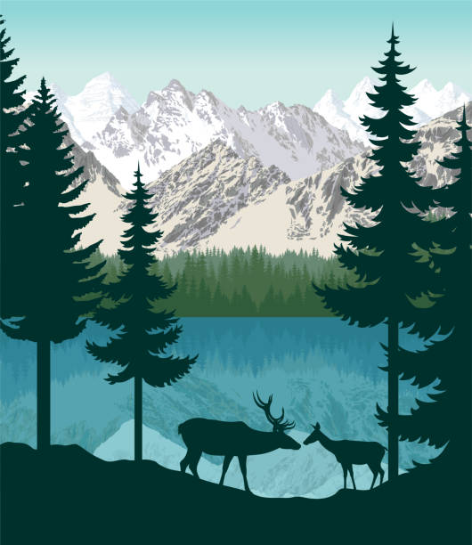illustrazioni stock, clip art, cartoni animati e icone di tendenza di montagne vettoriali con lago e un paio di deers dalla coda bianca - switzerland lake mountain landscape