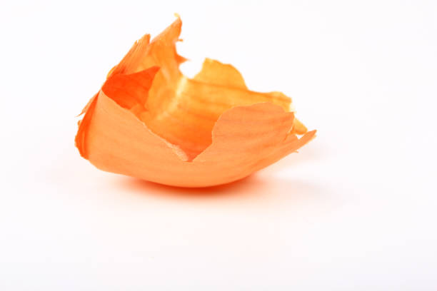 istock onion peel isolated on a white background 1300222093