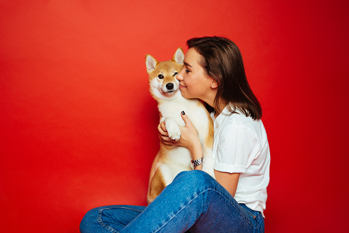 mujer morena abrazando y besando a Shiba Inu perro, fondo rojo. Amor mascotas photo