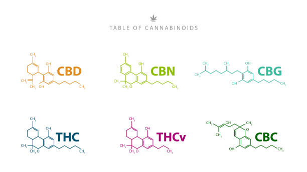 ilustraciones, imágenes clip art, dibujos animados e iconos de stock de tabla de cannabinoides. fórmulas químicas de cannabinoides naturales aislados sobre fondo blanco - structural formula