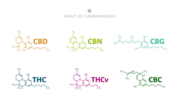 Table of cannabinoids. Chemical formulas of natural cannabinoids isolated on white background Table of cannabinoids. Chemical formulas of natural cannabinoids isolated on white background chemical formula stock illustrations