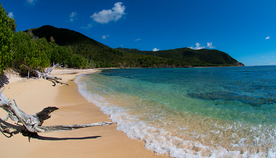 US Virgin Islands - Tropical Beach - Vacation