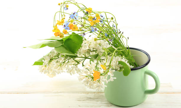 istock bouquet of spring wildflowers on a white background 1300236886