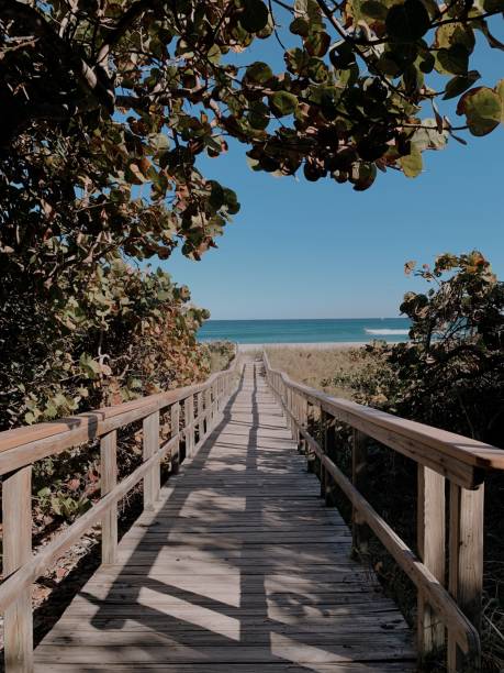 istock Whimsical Tropical Pathway to the Sandy Beach in Boynton Beach, Florida Seashore on a Weekday in February 2021 1300238496