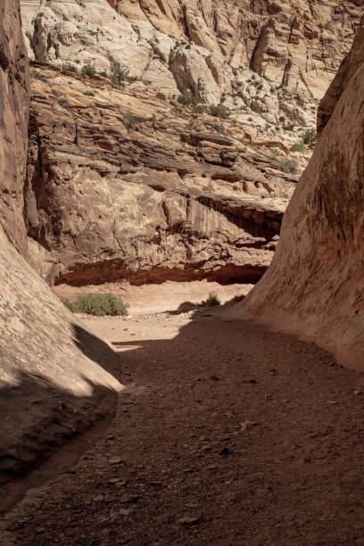 istock Capitol Gorge Trail Bends Around Sandy Wash 1300238543