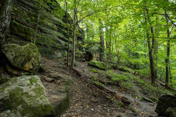 istock Dirt Trail Leads Up Through Rocky Cliff and Fallen Boulders 1300238869