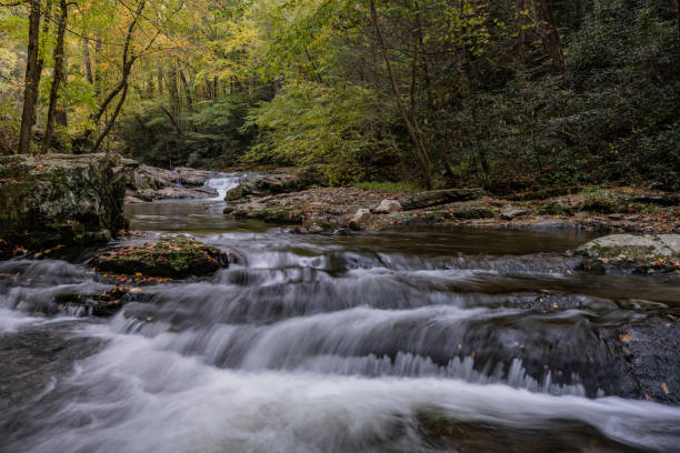 istock Low Angle of Rushing Creek 1300239743