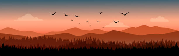 ilustrações, clipart, desenhos animados e ícones de ilustração da paisagem do pôr do sol da montanha - beauty in nature birds nature backgrounds wild animals