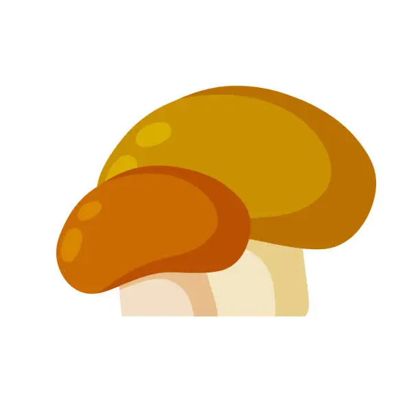 Vector illustration of Boletus edulis. Mushroom with a brown cap. Natural cep from the forest. Eco-friendly food. Flat cartoon illustration