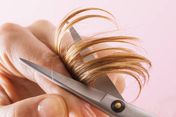 Hairdresser cutting hair with scissors, close-up stock photo