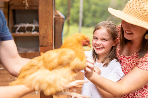 istock Family With Backyard Chickens 1300255195