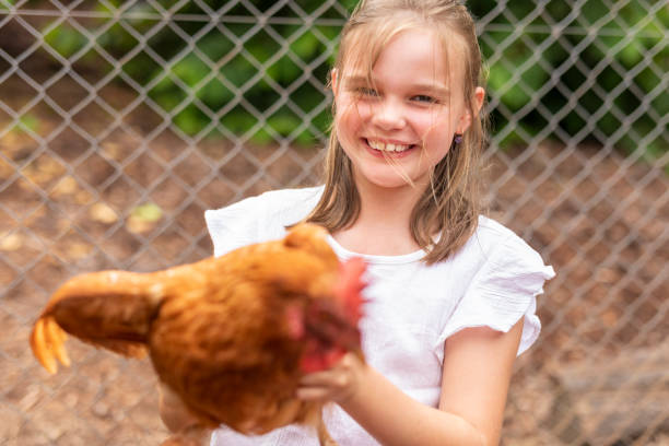 istock Young Girl With Backyard Chickens 1300255198